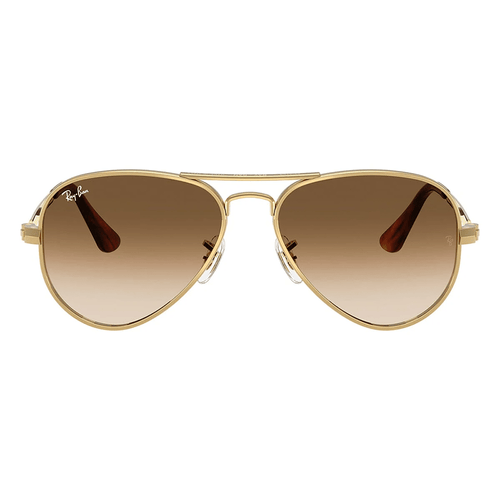 Ray-Ban Aviator Max RB3925 001/51 58 Sunglasses