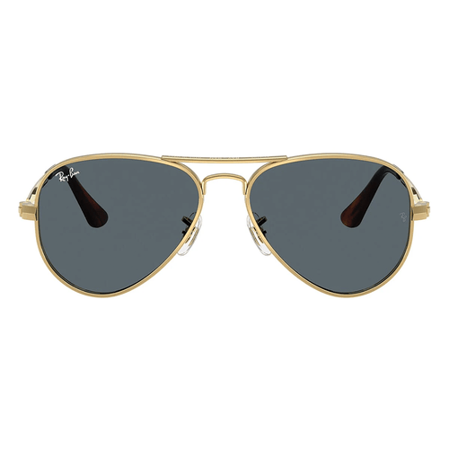 Ray-Ban Aviator Max RB3925 001/R5 58 Sunglasses