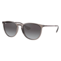 Ray-Ban ERIKA RB4171 65138G Sunglasses