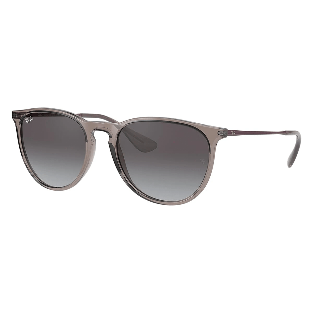 Ray-Ban ERIKA RB4171 65138G Sunglasses