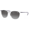 Ray-Ban ERIKA RB4171 651611 Sunglasses