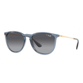 Ray-Ban ERIKA RB4171 6592T3 Polarised Sunglasses