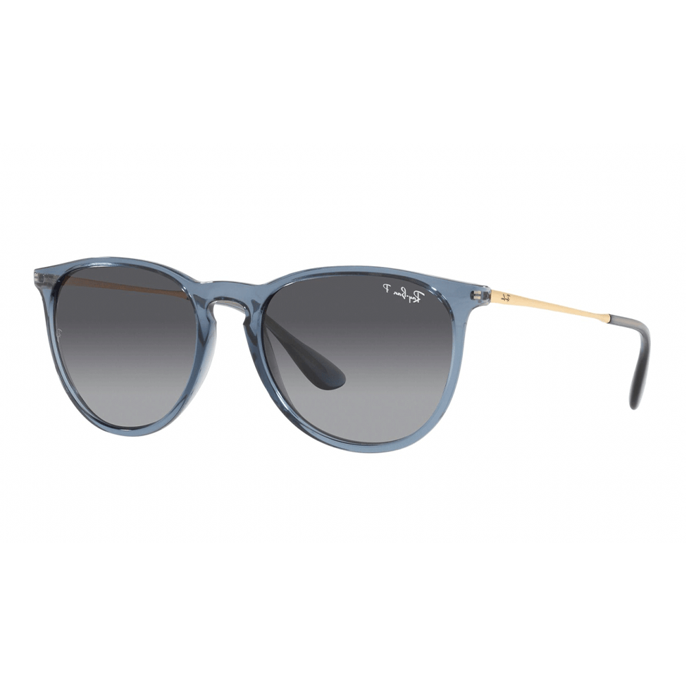 Ray-Ban ERIKA RB4171 6592T3 Polarised Sunglasses