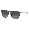 Ray-Ban Erika RB4171 681311 Sunglasses