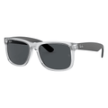 Ray-Ban Justin RB4165 651287 54 Sunglasses