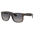 Ray-Ban Justin RB4165 865/8S Polarised Sunglasses