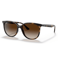 Ray-Ban RB4378 710/13 Sunglasses
