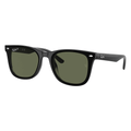 Ray-Ban RB4420 601/9A Polarised Sunglasses