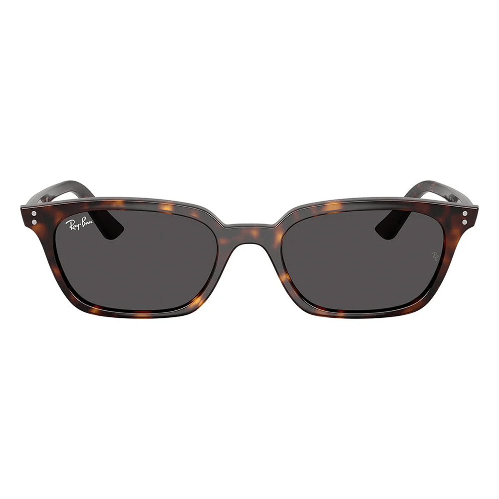 Ray-Ban Zaya RB4456 1359/87 53 Sunglasses