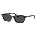 Ray-Ban Zaya RB4456 1359/87 53 Sunglasses